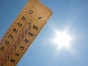 canicule